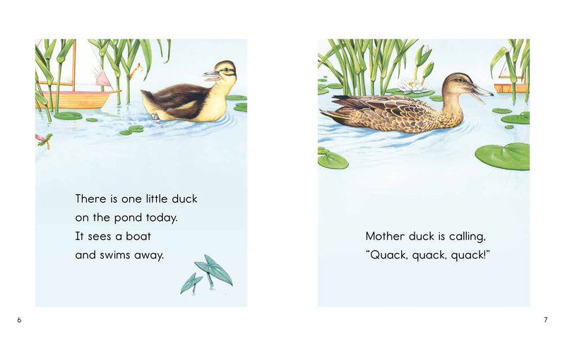 Ducks (L5)Big Book