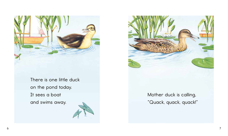 Ducks (L5)