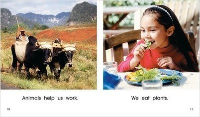 First Step:People and Environment