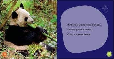 Let's Explore China(Bumba Books-Let's Explore Countries)