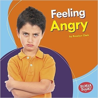 Feelings Matter: Feeling Angry(Paperback)