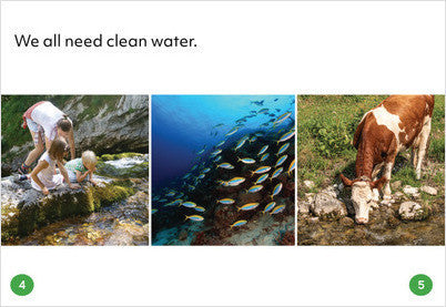 Sustainability:Clean Water: Book 9