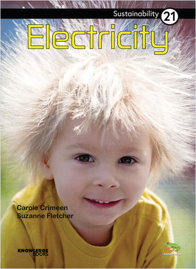 Sustainability:Electricity: Book 21