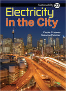 Sustainability:Electricity in the City: Book 23