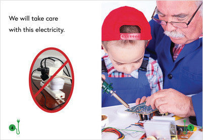 Sustainability:Take Care with Electricity: Book 26