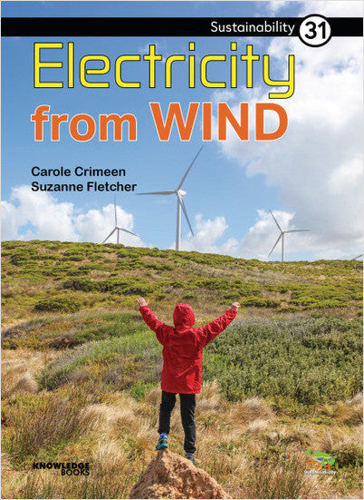 Sustainability:Electricity from Wind: Book 31