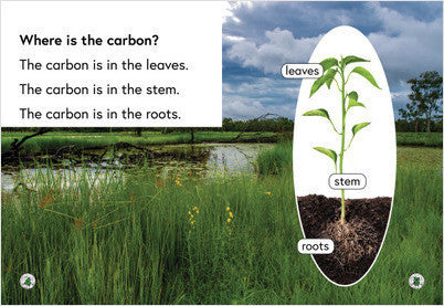 Sustainability:Storing Carbon: Book 40