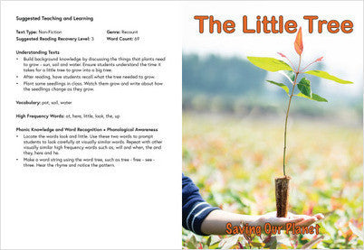Sustainability:The Little Tree: Book 10
