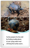 Life in a Frozen Lake (Fables & The Real World)