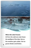 Life in a Frozen Lake (Fables & The Real World)