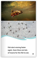 Life in a Frozen Lake (Fables & The Real World)