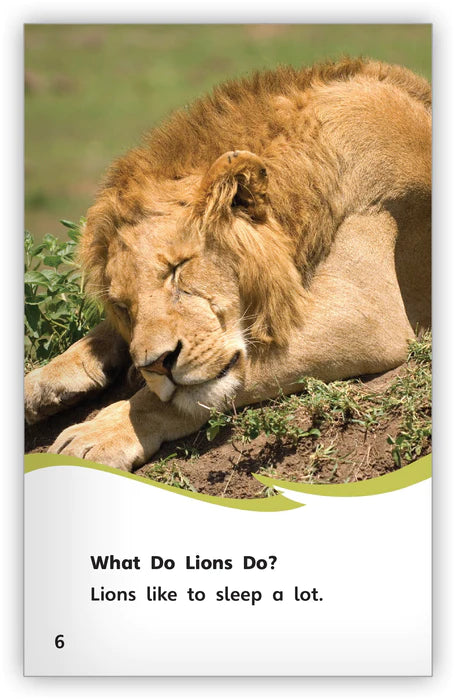 Lions (Fables & The Real World)