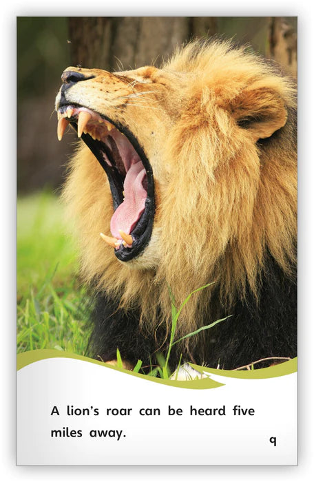 Lions (Fables & The Real World)