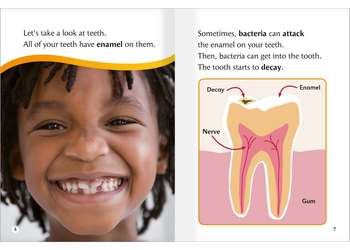 Dragonflies(L9-11): Healthy Teeth