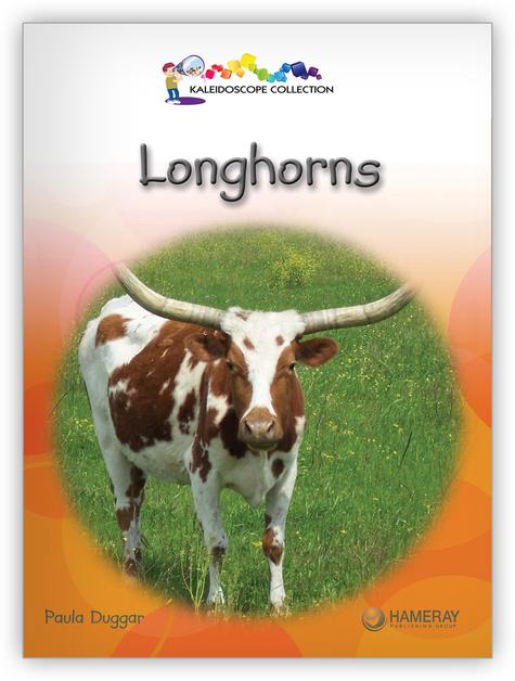 Kaleidoscope GR-D: Longhorns