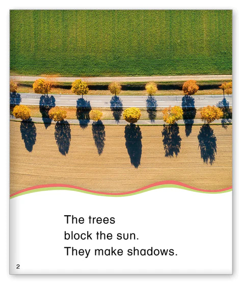 Kid Lit Level B(Weather)Making Shadows