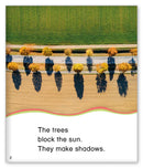 Kid Lit Level B(Weather)Making Shadows