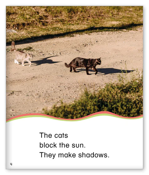 Kid Lit Level B(Weather)Making Shadows