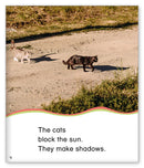 Kid Lit Level B(Weather)Making Shadows