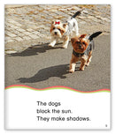 Kid Lit Level B(Weather)Making Shadows