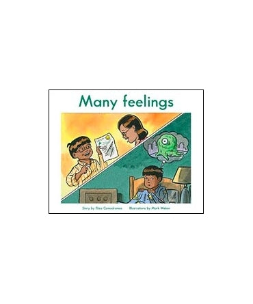 Many feelings (L.11)