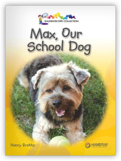 Kaleidoscope GR-D: Max, Our School Dog