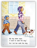 Kaleidoscope Big Book GR-E:  My Big Sister