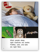 Kaleidoscope GR-F: Night Fliers