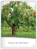 My World: On the Farm