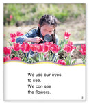 Kid Lit Level D(All About Me)Our Five Senses