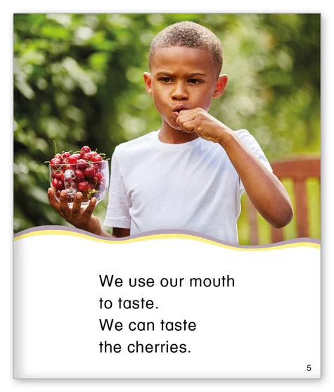 Kid Lit Level D(All About Me)Our Five Senses