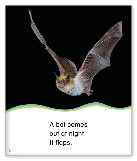 Kid Lit Level C(Weather)Out at Night