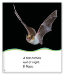 Kid Lit Level C(Weather)Out at Night