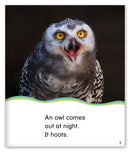 Kid Lit Level C(Weather)Out at Night