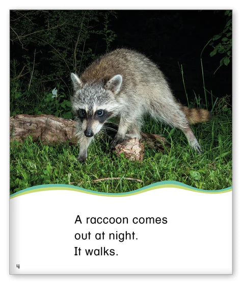 Kid Lit Level C(Weather)Out at Night