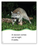 Kid Lit Level C(Weather)Out at Night