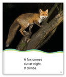 Kid Lit Level C(Weather)Out at Night