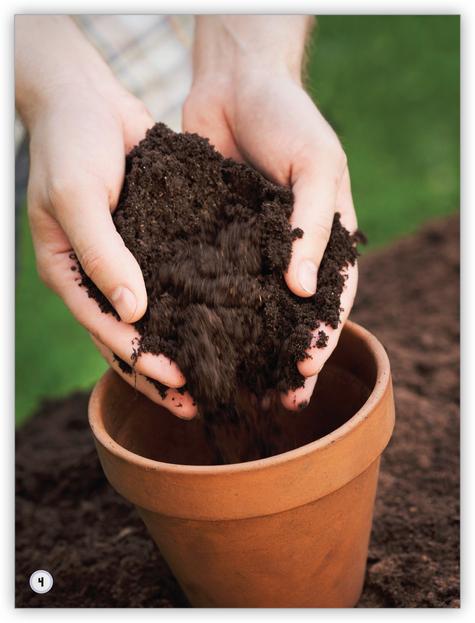 My World: Planting
