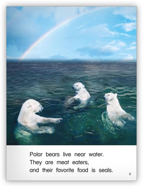 Kaleidoscope GR-I: Polar Bears