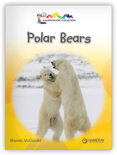 Kaleidoscope GR-I: Polar Bears