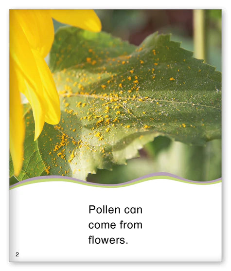 Kid Lit Level D(Weather)Pollen