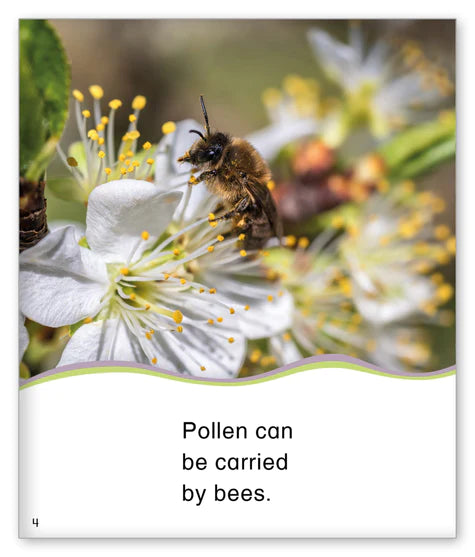 Kid Lit Level D(Weather)Pollen