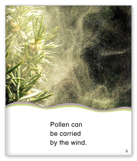 Kid Lit Level D(Weather)Pollen