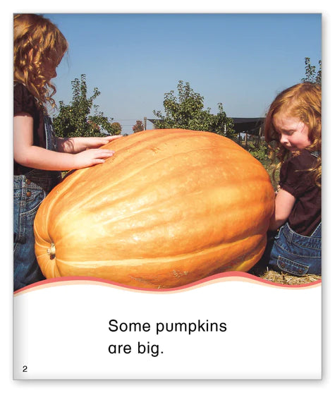 Kid Lit Level B(Culture)Pumpkins