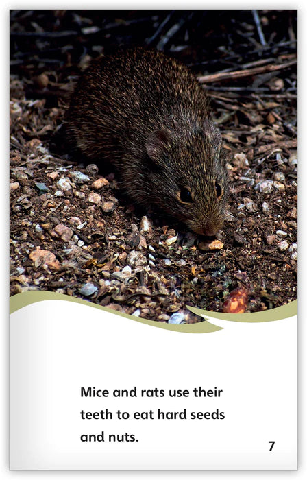 Rodents (Fables & The Real World)