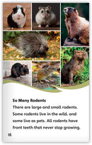 Rodents (Fables & The Real World)