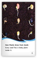 Seeds (Fables & The Real World)