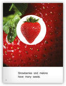 Kaleidoscope GR-G: Seeds