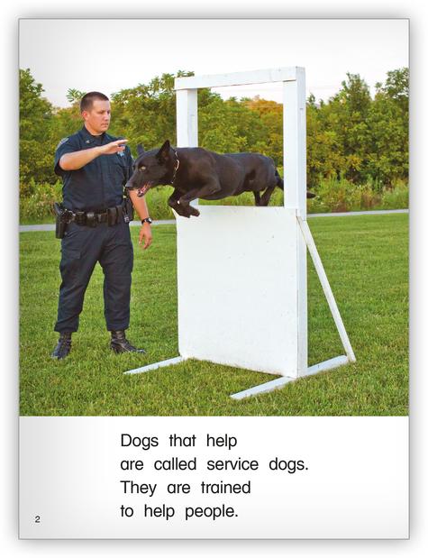 Kaleidoscope Big Book GR-F: Service Dogs