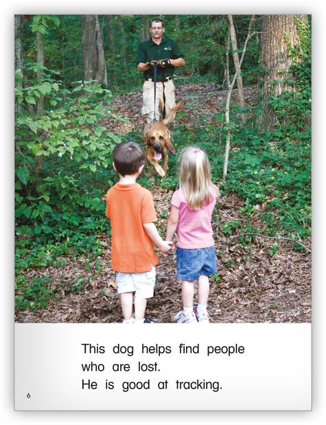 Kaleidoscope GR-F: Service Dogs